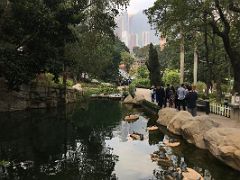 03A People walk by an artificial lake with turtles surrounded by trees in Hong Kong Park